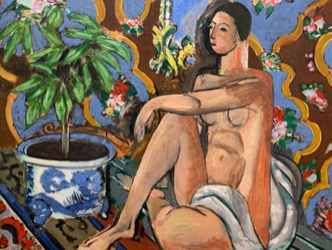Matisse: the most anticipated exhibition in Paris is disappointing despite the sublime artworks
