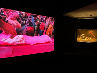 Dialogue between the Kramlich video collection and Caravaggisti paintings