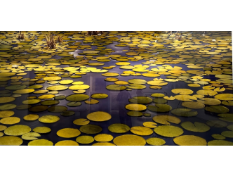 Thomas Demand in Paris: immersive conceptual trompe-l’oeil trickery