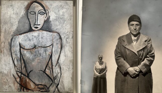 Pablo/Gertrude, Picasso/Stein: the invention of cubism in shapes and words